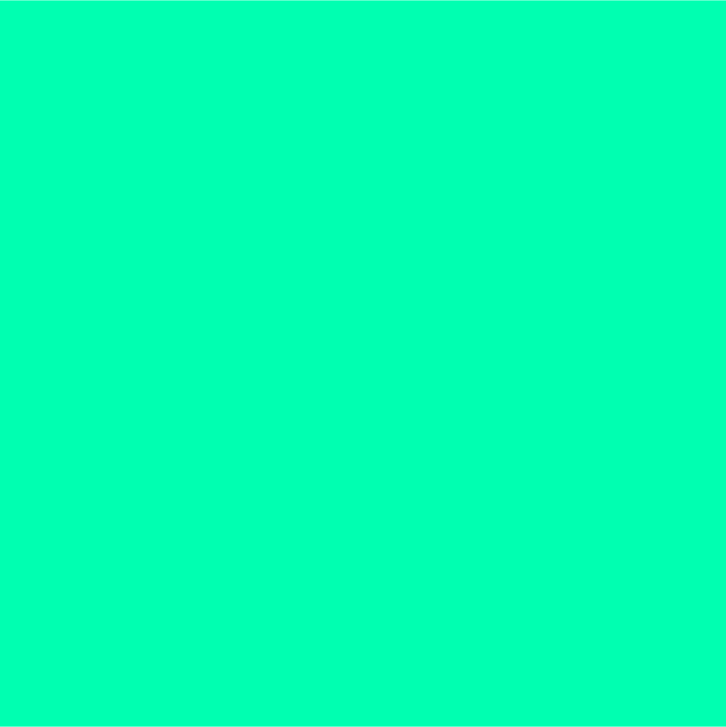 EST-Solar Hauptfarbe 01 Ein Neon-Grün, welches vor allem digital zum Zug kommt.