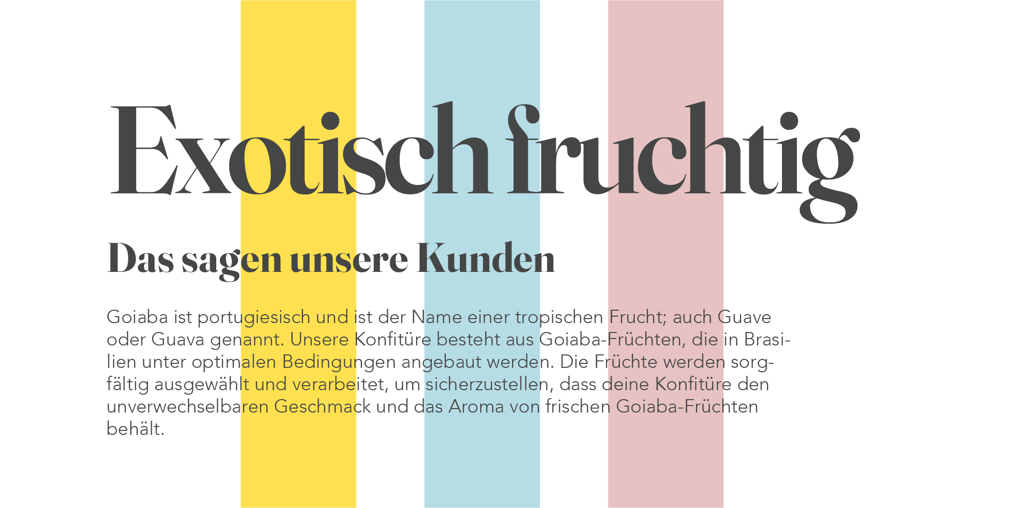 DALU Schriftart Die Schriftart soll das Exotische und Frische von DALU transportieren.